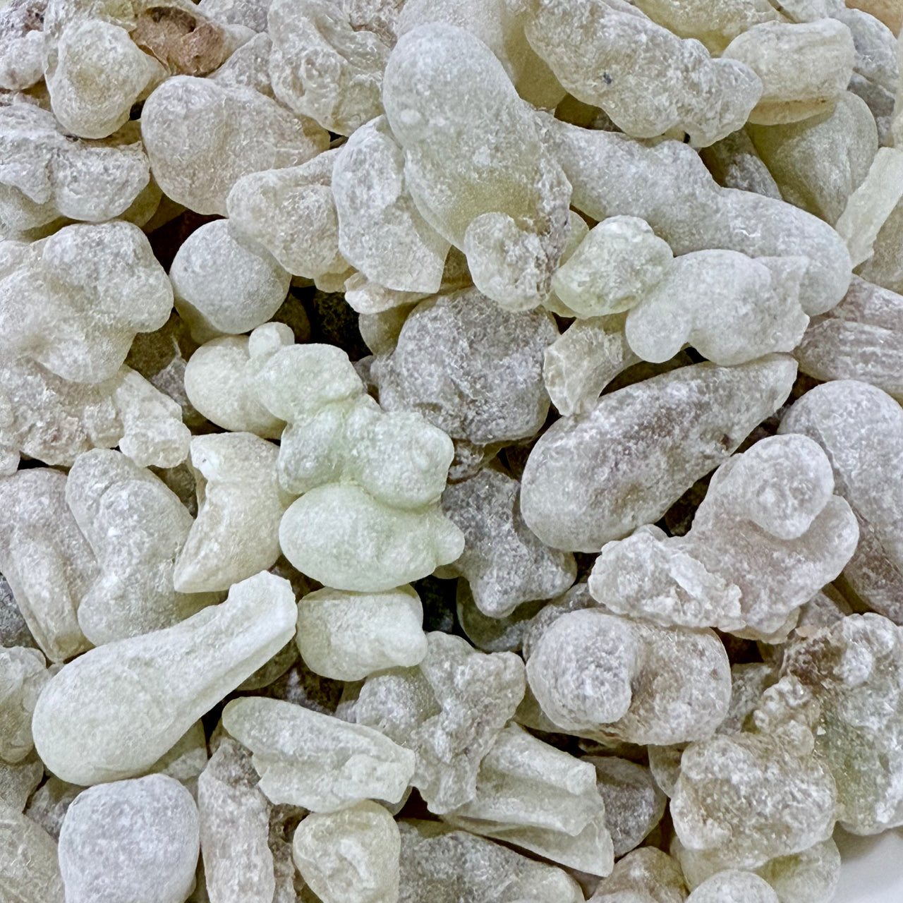 Sultan Royal Hojari Frankincense Oman (Boswellia Sacra)