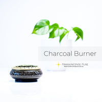 Thumbnail for Brass Charcoal Incense Burner (Black)